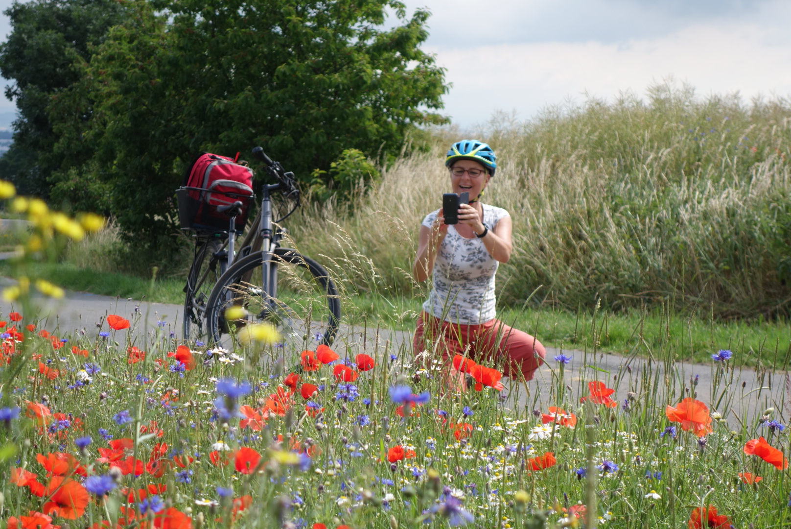 
    
            
                    Radfahrerin fotografiert Blumenwiese
                
        
