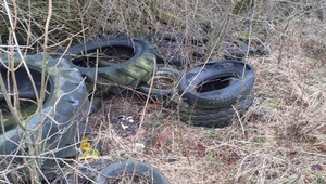 Illegale Abfallablagerungen in Altenbergen